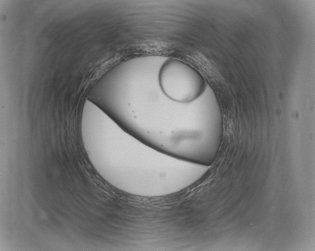 X0000082751106200701261048