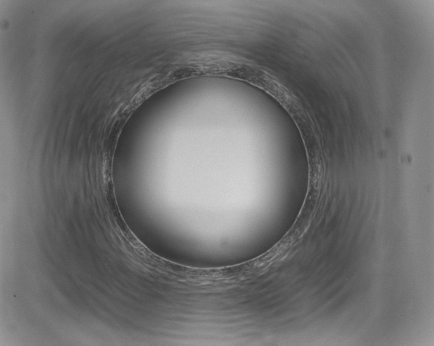 X0000082751108200701261049