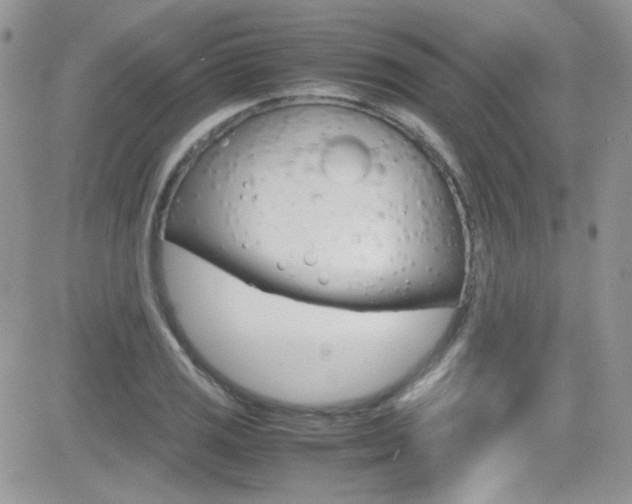 X0000082751125200701261049