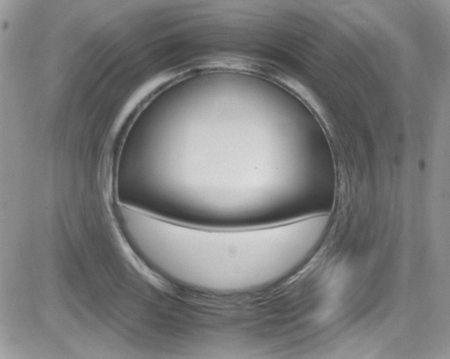 X0000082751131200701261049