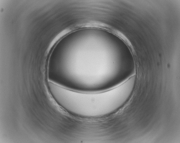 X0000082751138200701261049