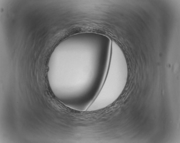 X0000082751153200701261048