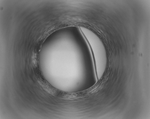 X0000082751156200701261048
