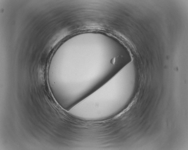 X0000082751162200701261048