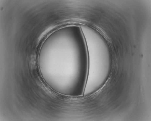 X0000082751164200701261048