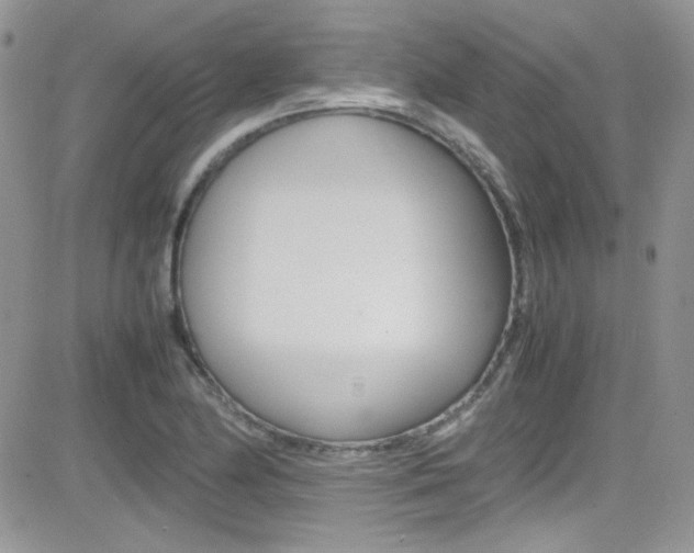 X0000082751174200701261048
