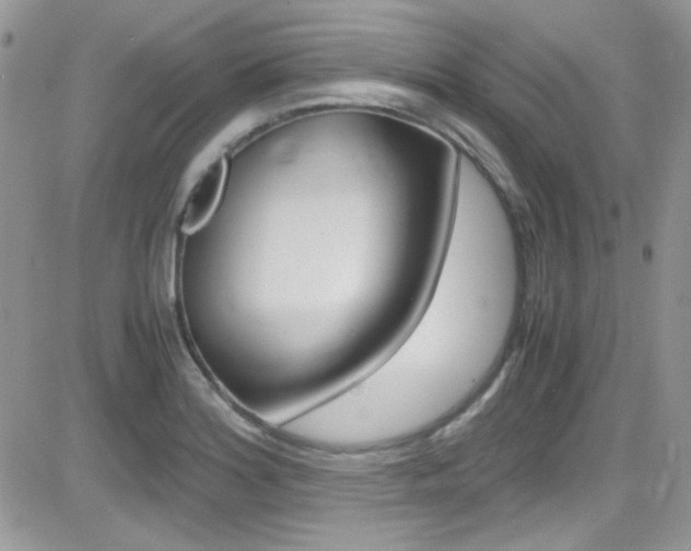 X0000082751180200701261048