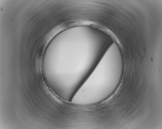 X0000082751186200701261048