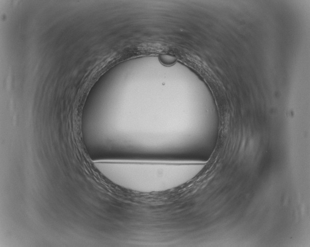 X0000082751201200701261047