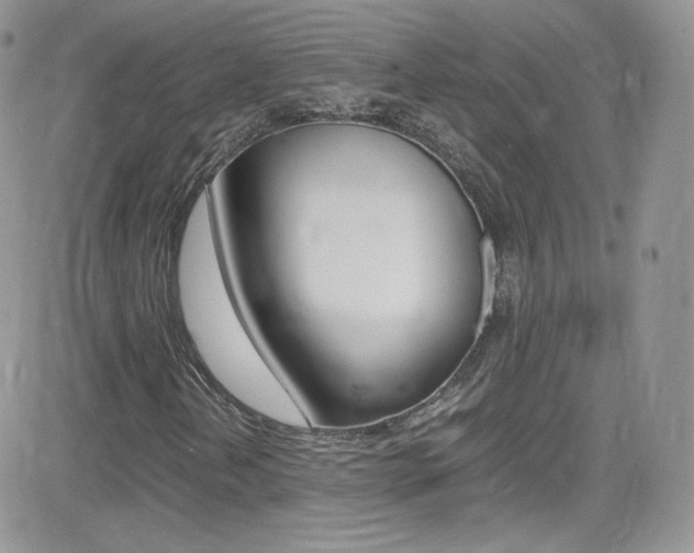 X0000082751202200701261047