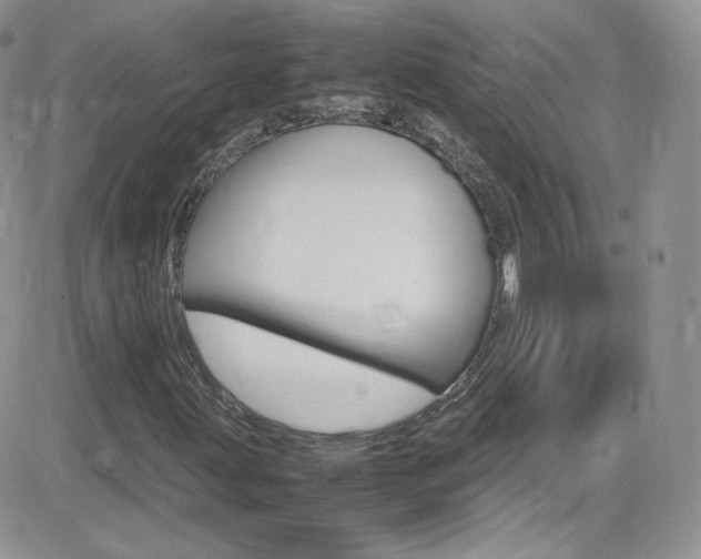 X0000082751203200701261047