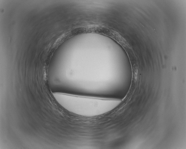 X0000082751204200701261047
