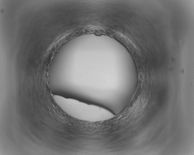 X0000082751207200701261047