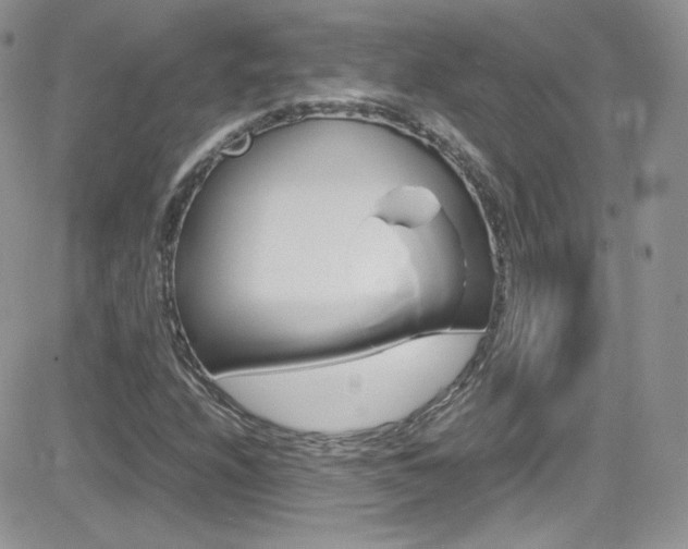 X0000082751208200701261047