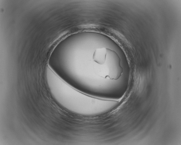 X0000082751209200701261047