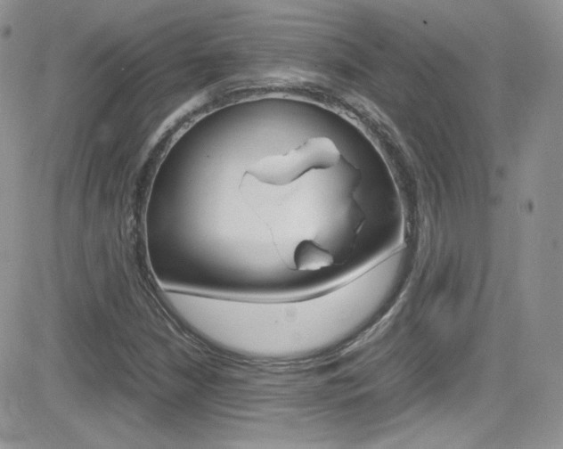X0000082751210200701261047