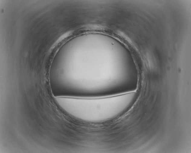 X0000082751213200701261047