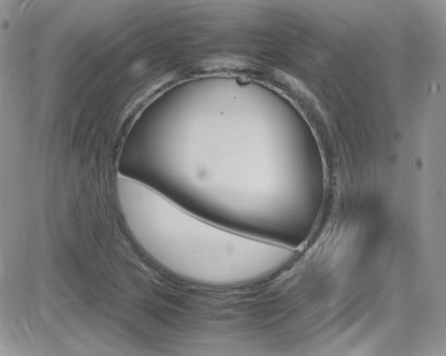X0000082751217200701261047