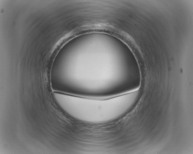 X0000082751218200701261047