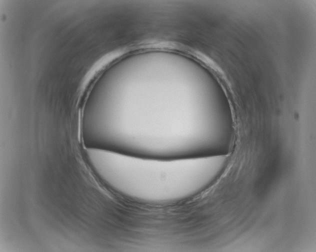 X0000082751223200701261047