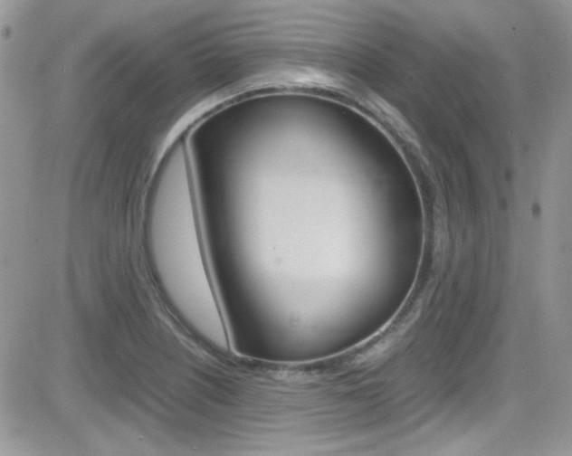 X0000082751226200701261047