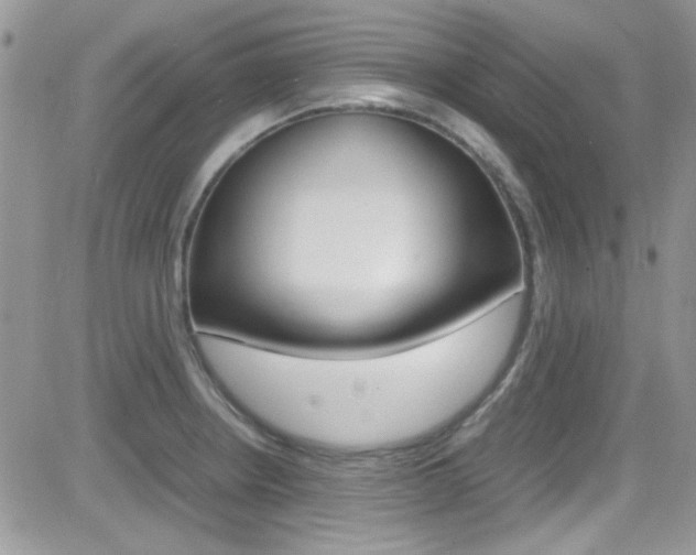 X0000082751234200701261047