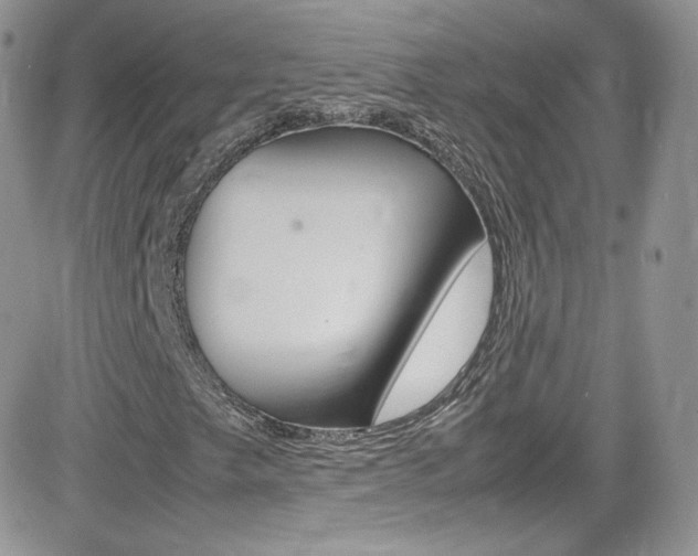 X0000082751249200701261047