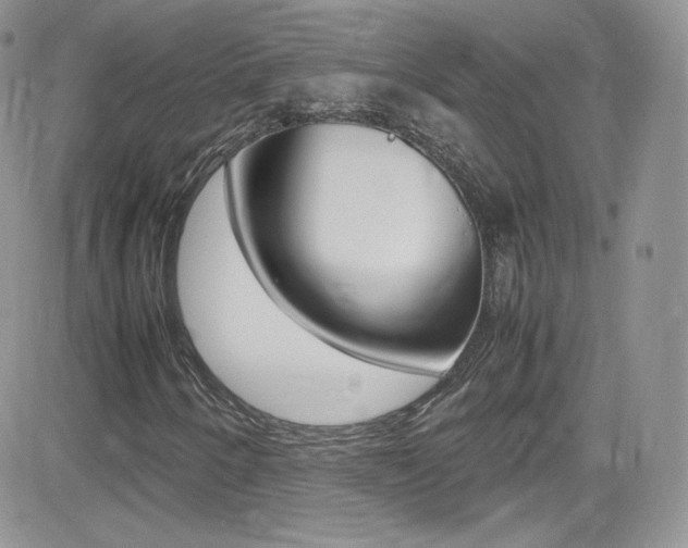 X0000082751250200701261047