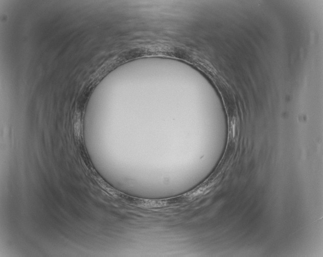 X0000082751251200701261047
