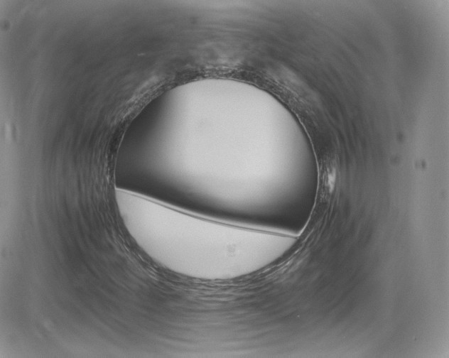 X0000082751252200701261047