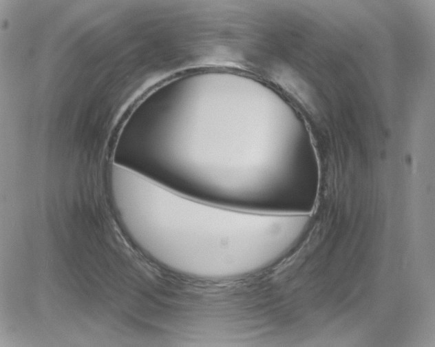 X0000082751268200701261047