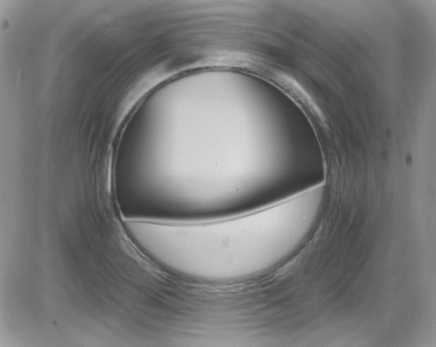 X0000082751276200701261046