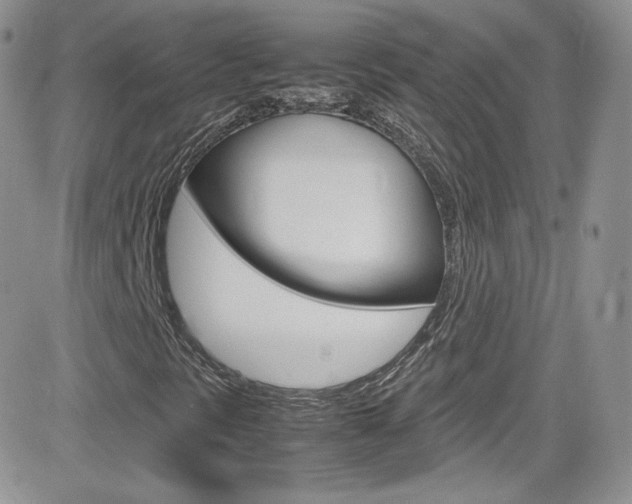 X0000082751297200701261045