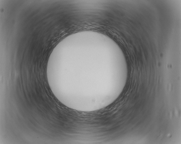 X0000082751298200701261045