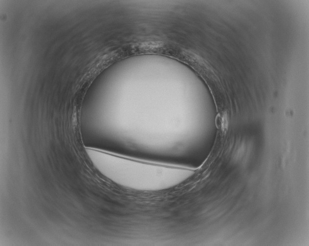 X0000082751299200701261045