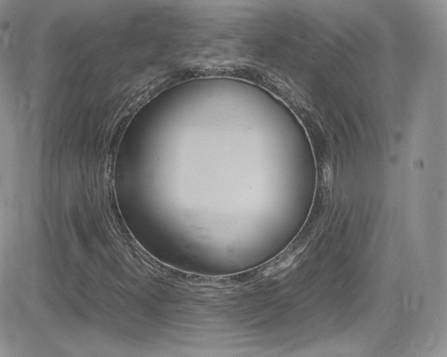 X0000082751300200701261045