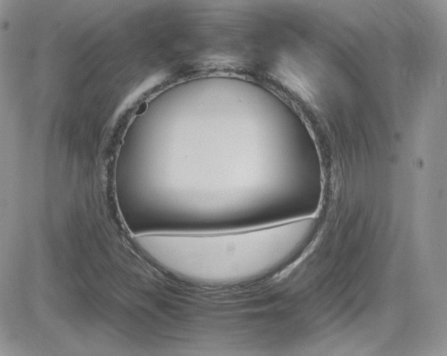 X0000082751309200701261046