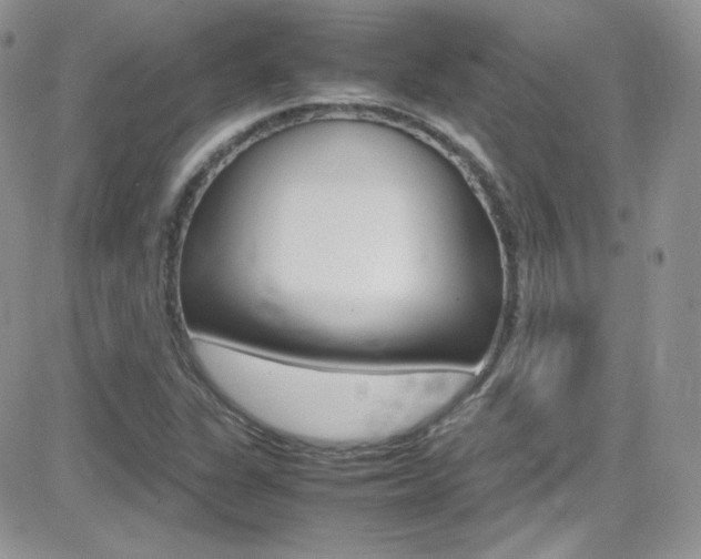 X0000082751311200701261046