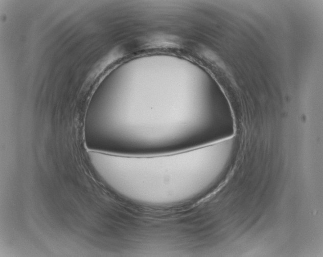 X0000082751313200701261046