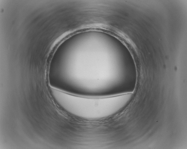 X0000082751316200701261046