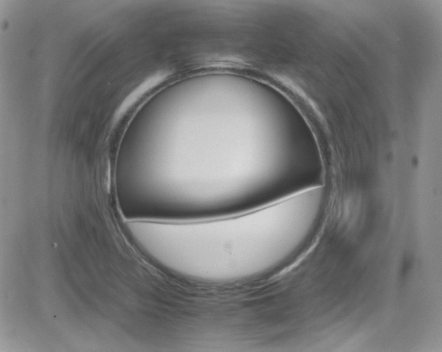 X0000082751317200701261046
