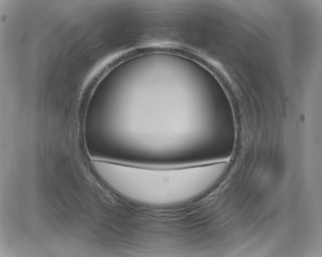 X0000082751319200701261046