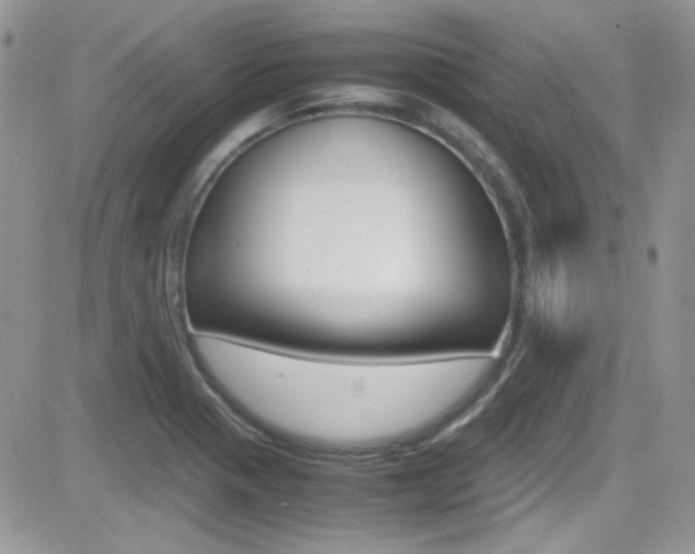 X0000082751321200701261046