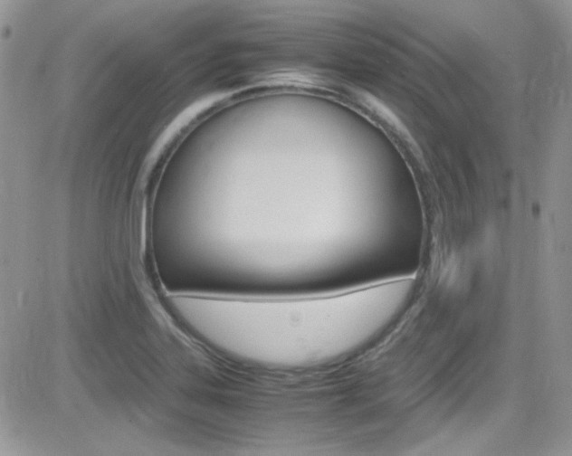 X0000082751323200701261046