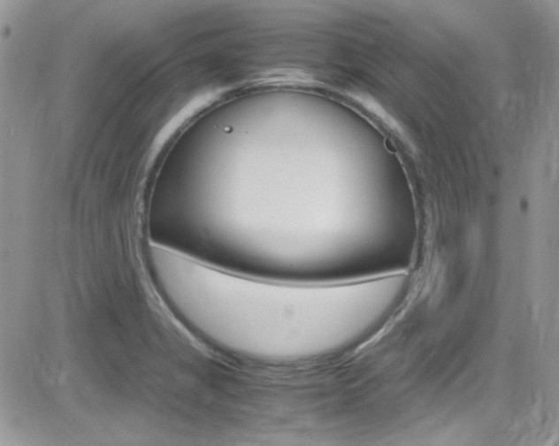 X0000082751325200701261046