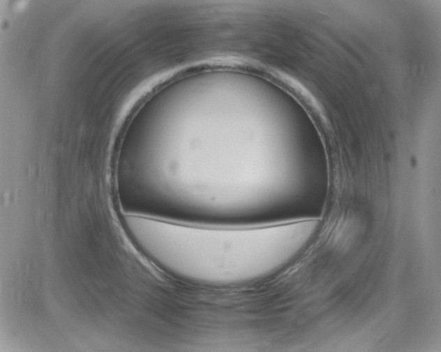 X0000082751327200701261046