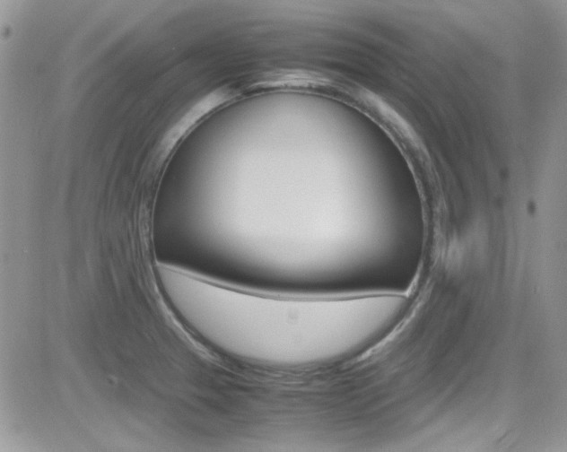 X0000082751329200701261046