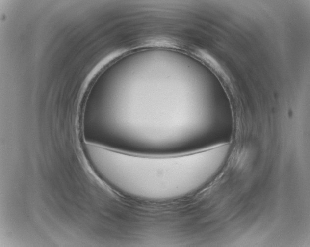 X0000082751331200701261046