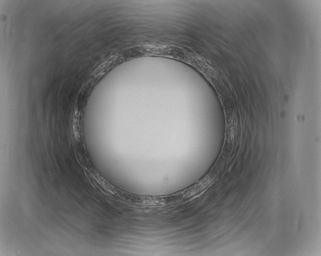 X0000082751346200701261045