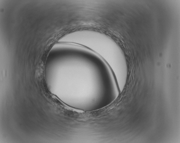 X0000082751349200701261045